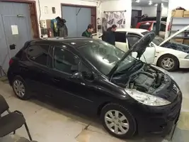 PEUGEOT 207 2008